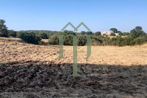 Helårsgrund i Ostuni, Brindisi, Ostuni - € 410.000 | Ref: Terreno Rella14 - foto 13